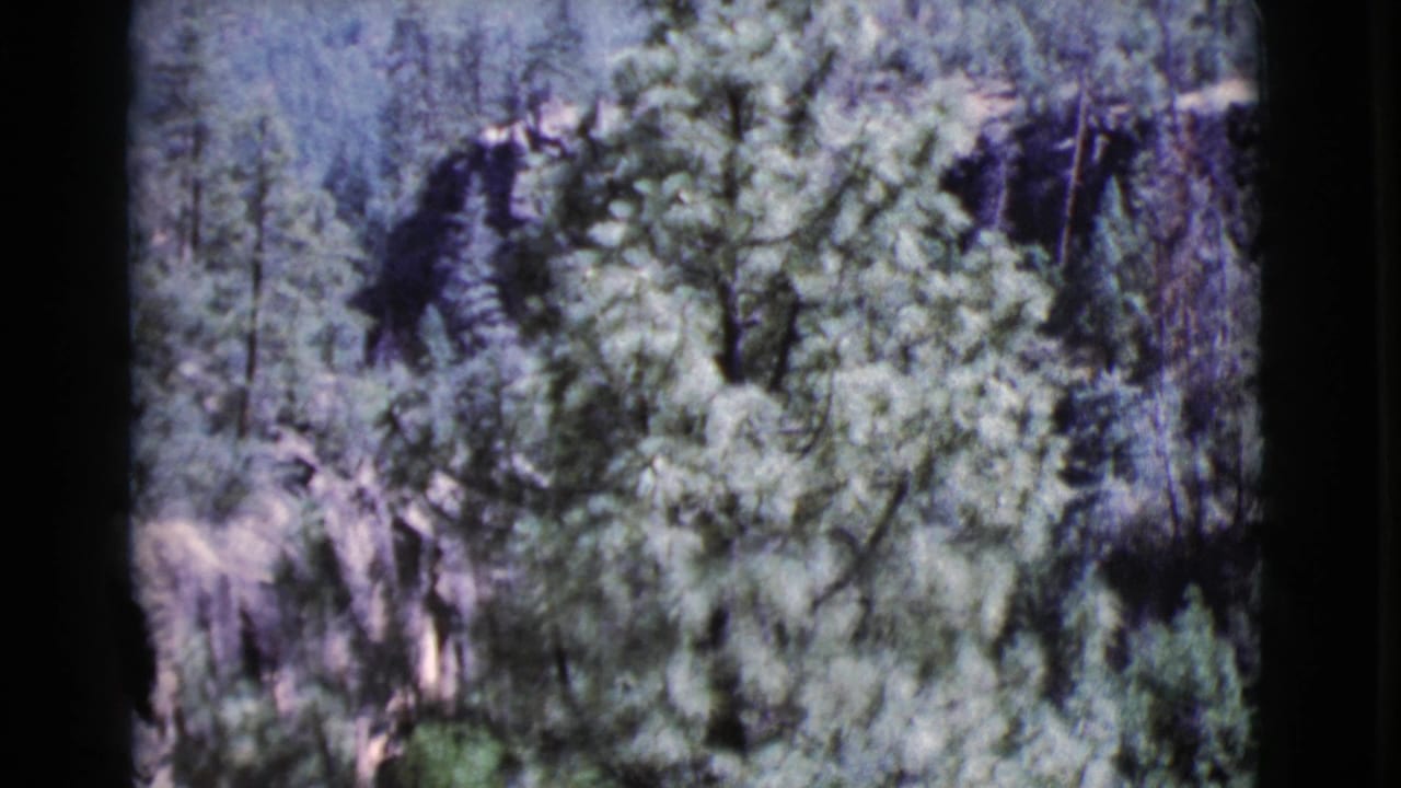 Soft 8mm view of green tree branches with rocky terrain partly visible behind them.
