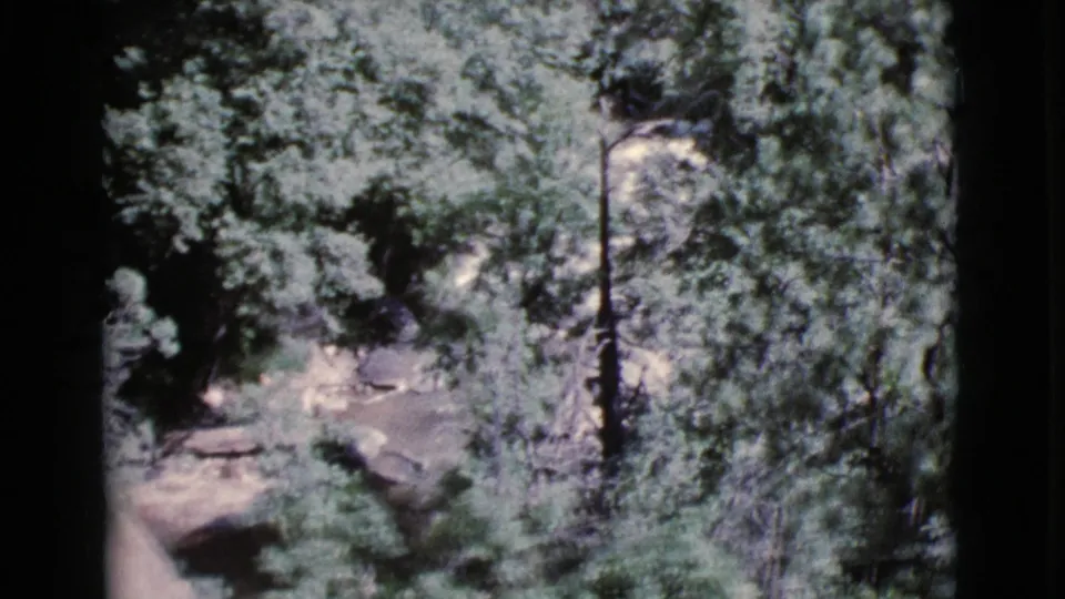 1964 Cottonwood, Arizona home-movie frame showing a sunlit ground patch, trees, and foliage around a narrow path.