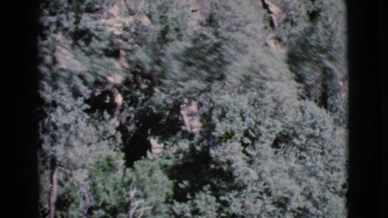 Wooded rocky hillside seen through rounded 8mm film-frame edges.