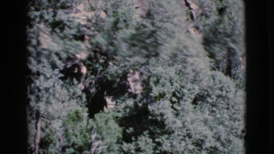1964 Cottonwood, Arizona home-movie frame showing a rocky hillside covered with dense green trees.