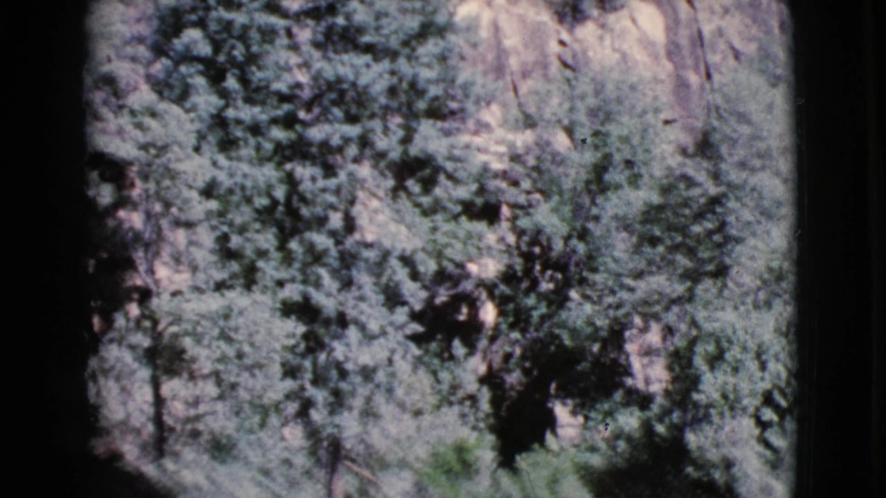 Tree-covered slope with rocky patches and dark film border at the side.