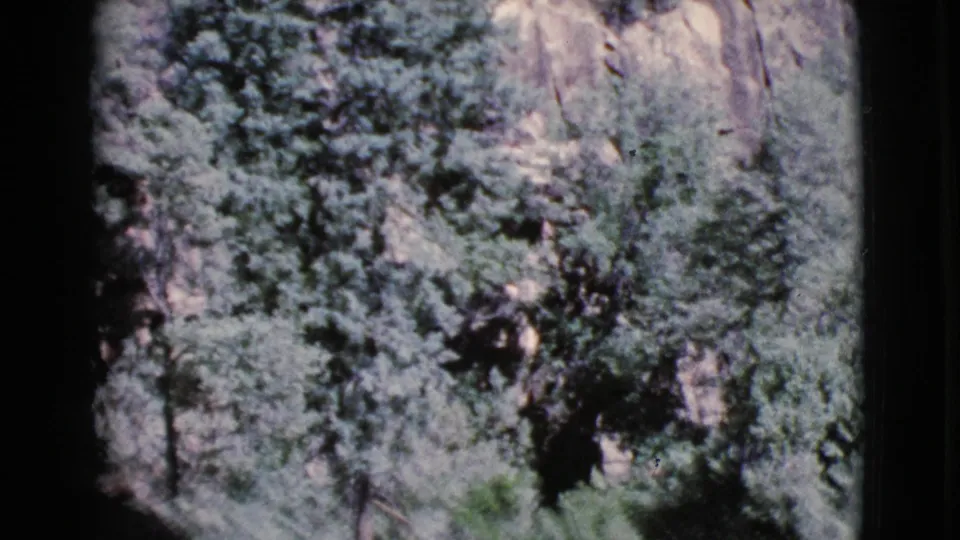 1964 Cottonwood, Arizona frame showing a dense hillside canopy with exposed rock and deep shadows.