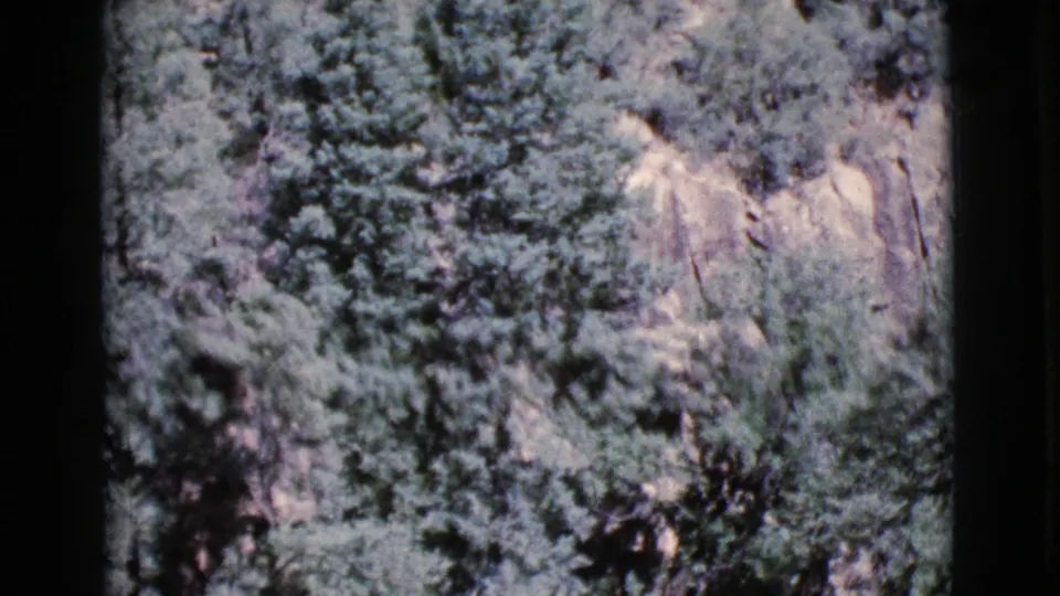 1964 Cottonwood, Arizona home-movie frame with soft-focus trees and pale rock on a steep hillside.