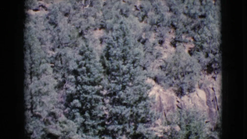 1964 Cottonwood, Arizona frame showing rugged tree cover and an exposed pale rock face near the lower right.