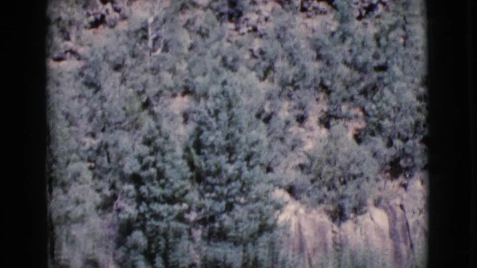 1964 Cottonwood, Arizona 8mm frame showing dense pines, brush, and pale rock ledges during a slow landscape pan.