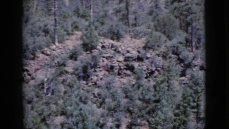 1964 Cottonwood, Arizona 8mm frame showing pines, scrub vegetation, and layered rock ledges across a wooded hillside.