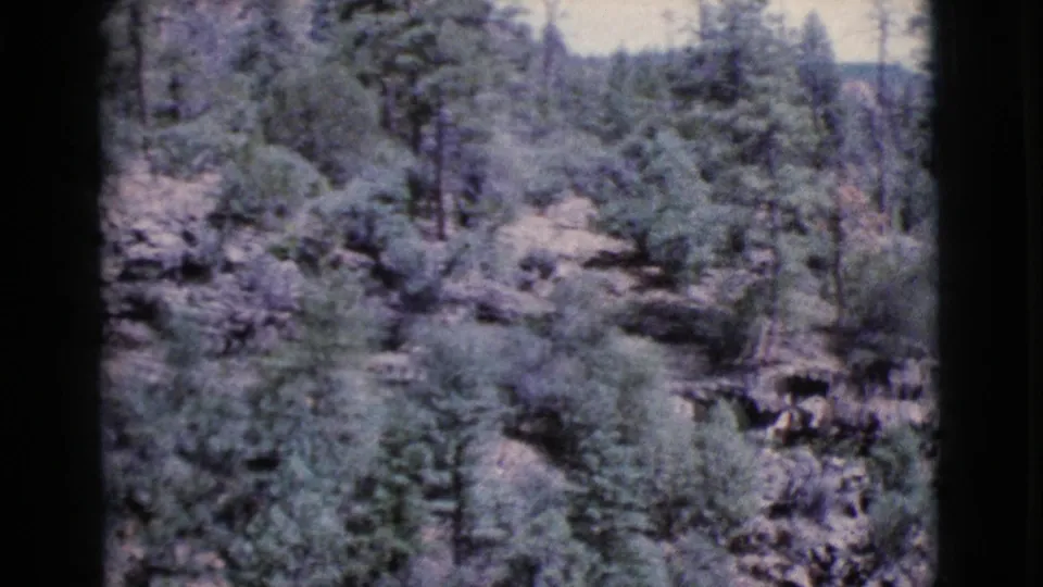 1964 Cottonwood, Arizona 8mm frame showing a panned forest view with pines, brush, rocky ground, and a light clearing beyond.