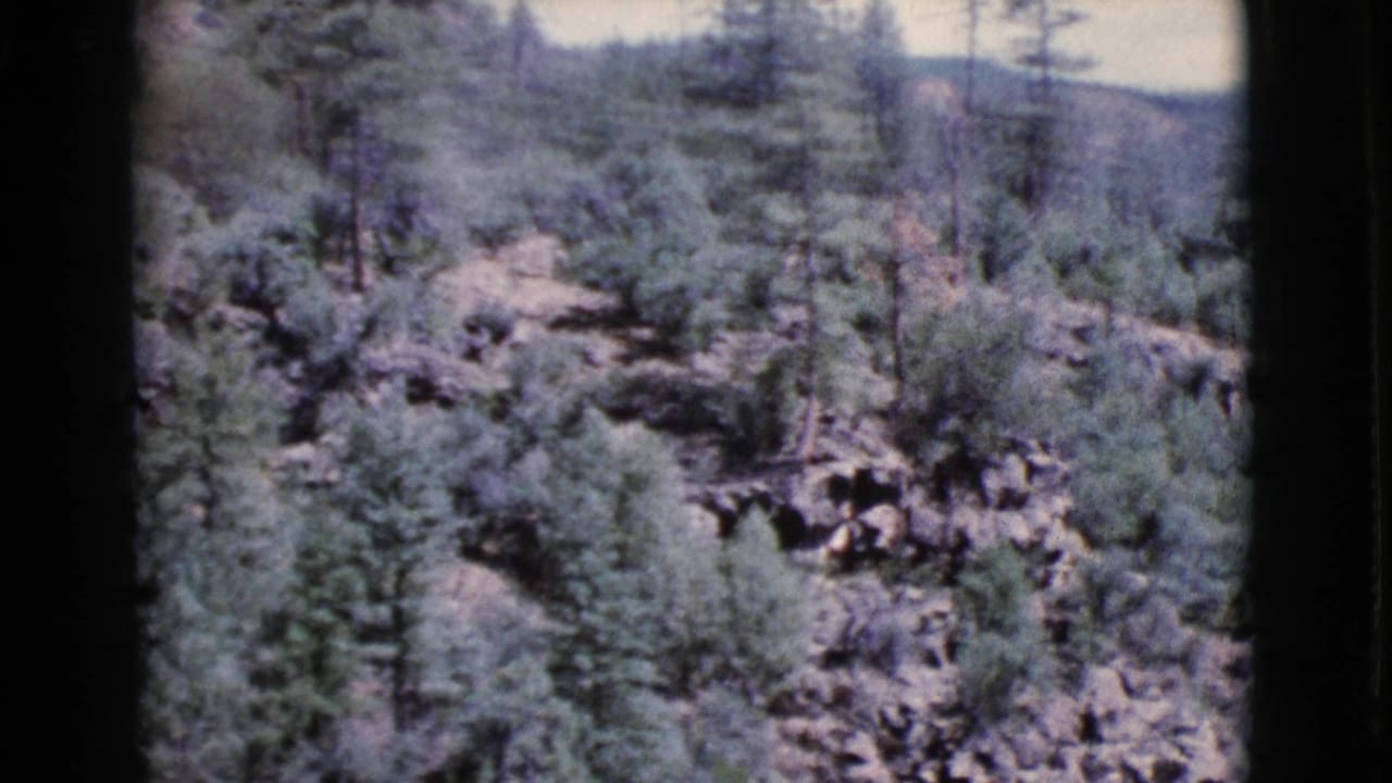 Pine-covered rocky ravine with distant wooded hills and pale sky.