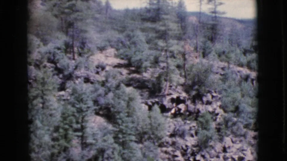 1964 Cottonwood, Arizona 8mm frame showing pine trees across a rocky ravine with forested hills in the distance.