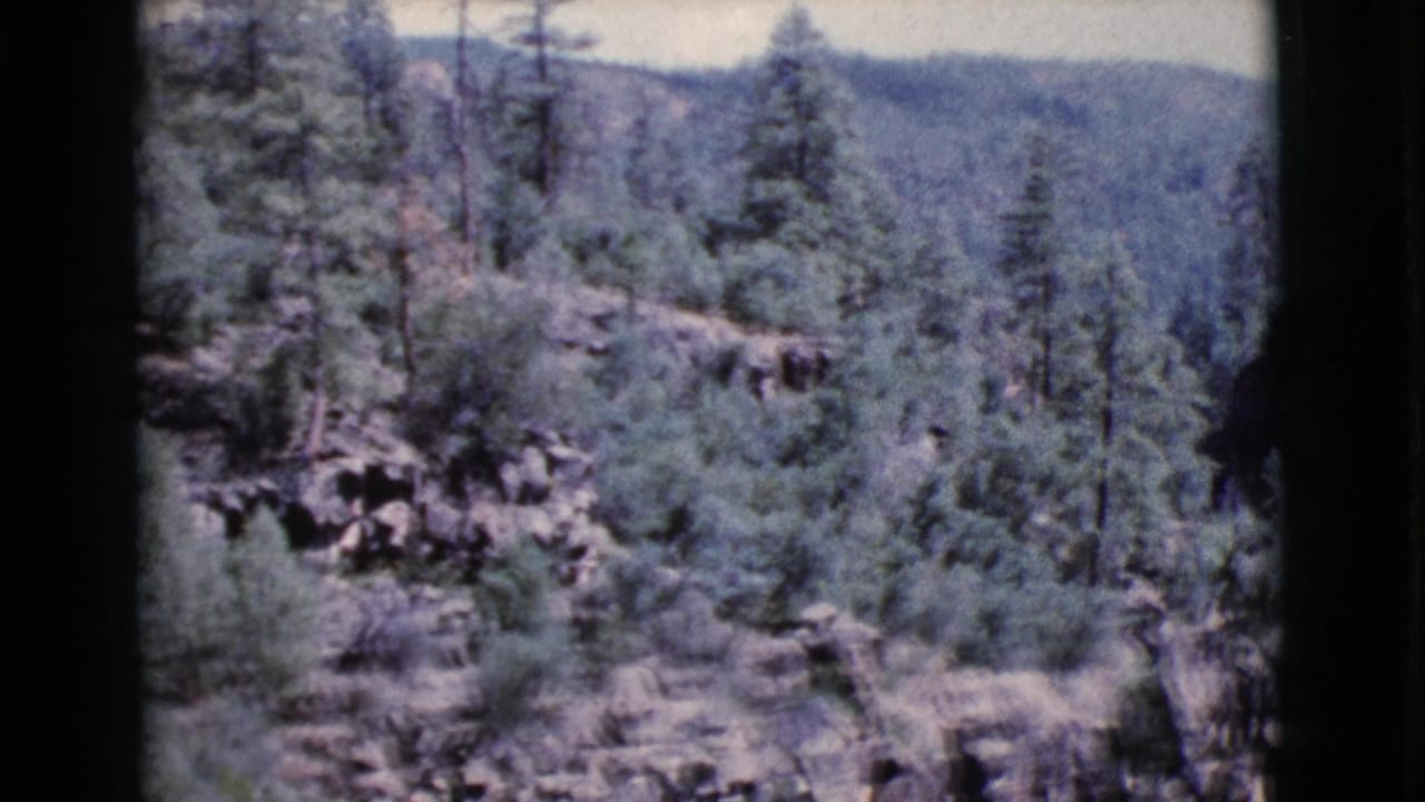 Wooded hillside with scattered pines, rocks, brush, and distant ridge.