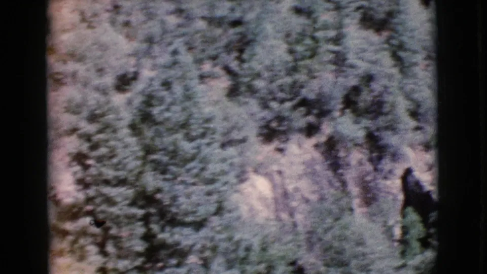 Blurred 1964 Cottonwood, Arizona 8mm frame showing pines, brush, and rocky terrain during camera movement.