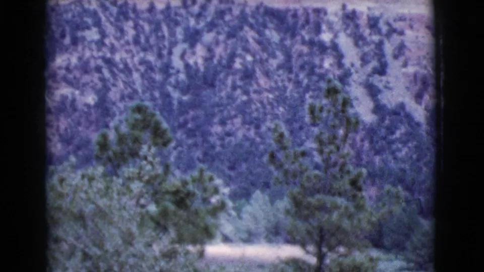 1964 8mm view near Cottonwood with foreground pines, scrub vegetation, and a rocky canyon wall beyond.