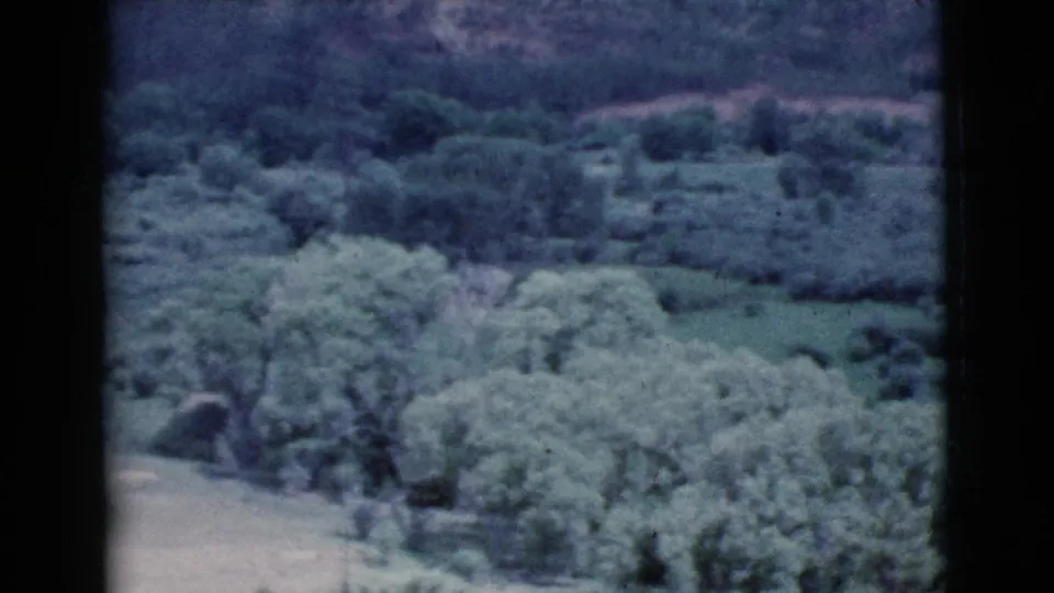 1964 Cottonwood, Arizona 8mm still showing clustered trees, brush, open ground, and a muted hillside beyond.