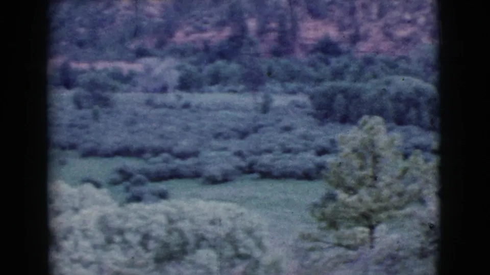 1964 Cottonwood, Arizona landscape frame with shrubs, a lone tree, open field, and a rocky hillside in soft 8mm color.