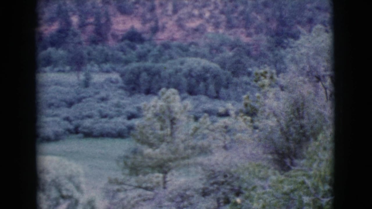 Wooded hillside and trees seen through dark 8mm frame borders.