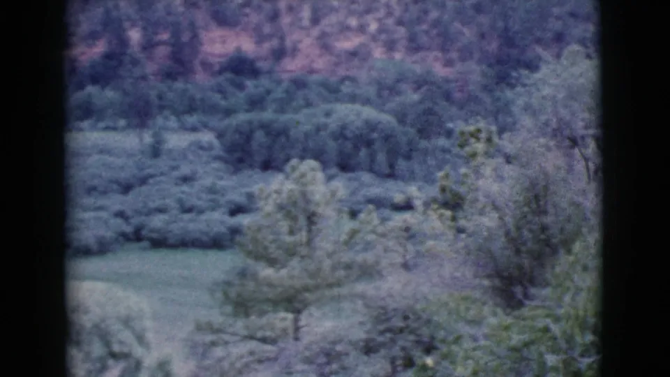 Cottonwood, Arizona home-movie frame showing a wooded hillside and trees with soft 1960s 8mm color and dark film edges.