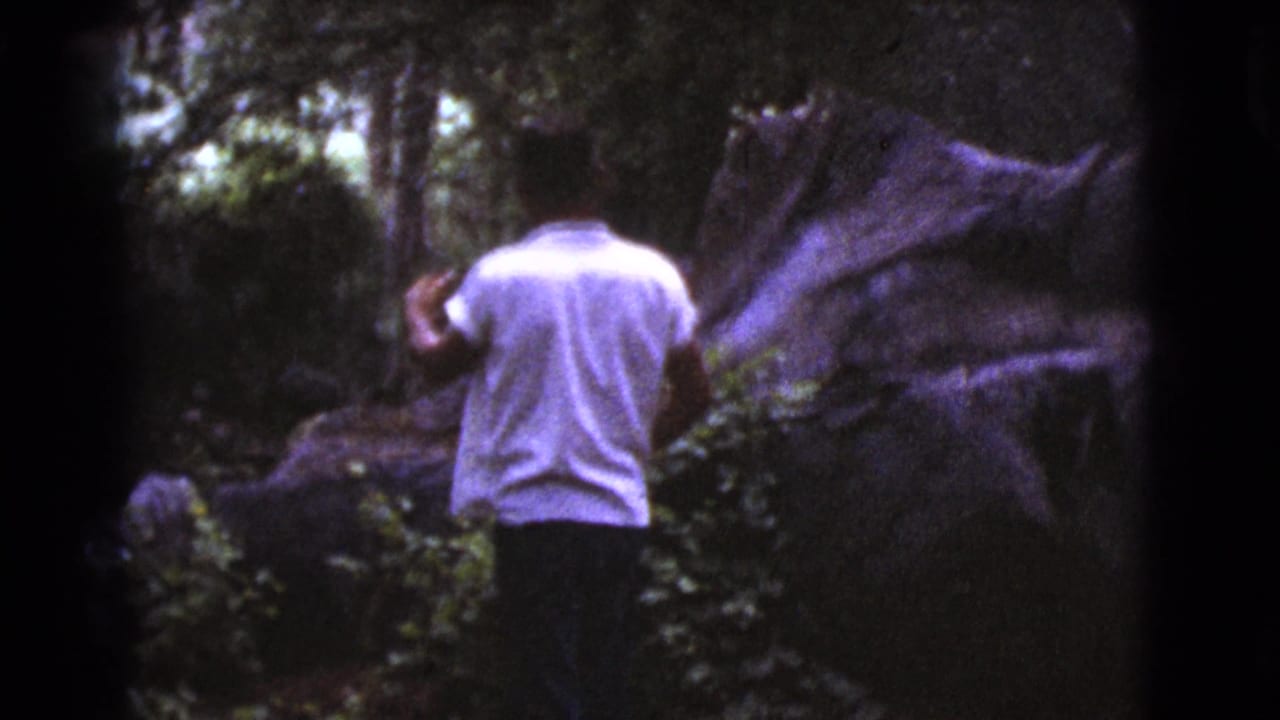Man in a white shirt stands among trees and rocks in a wooded area.