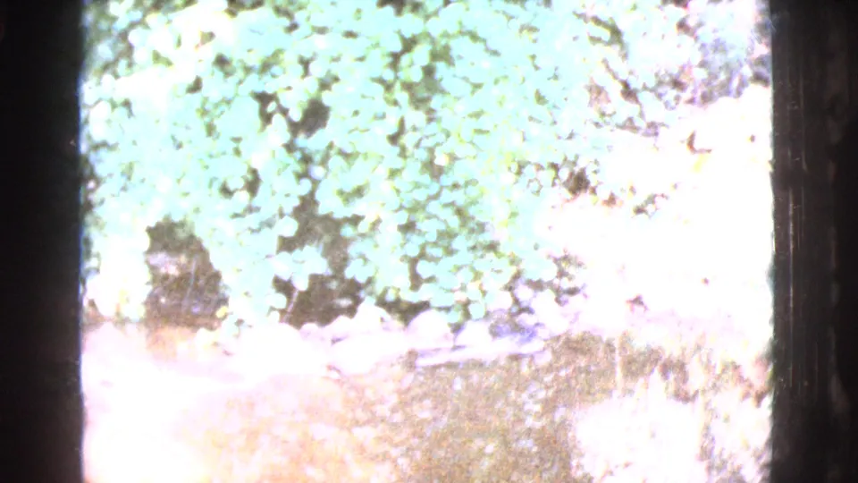 A bright, overexposed patch of foliage and ground appears in the 1964 Cottonwood, Arizona home-movie sequence.