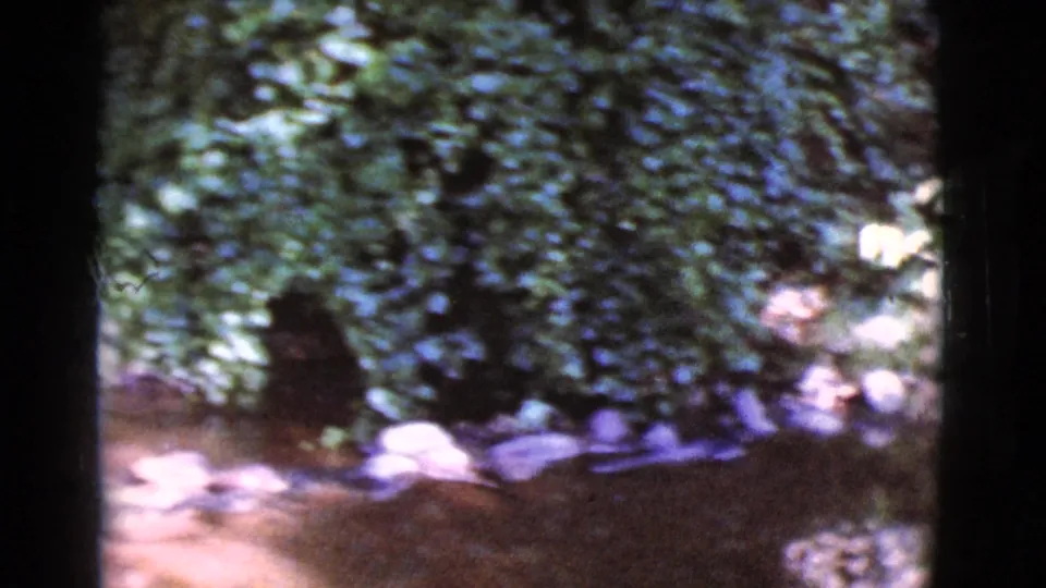 A small shaded stream or wet ground edge runs beside rocks and thick foliage in the supplied Arizona home-movie footage.