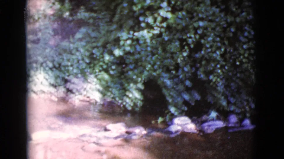 The Cottonwood, Arizona scene ends on foliage, rocks, and a small streamside area in faded handheld 8mm color.