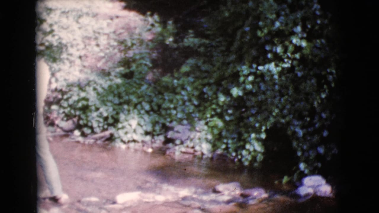 Partial view of a man entering beside a shallow stream and foliage.