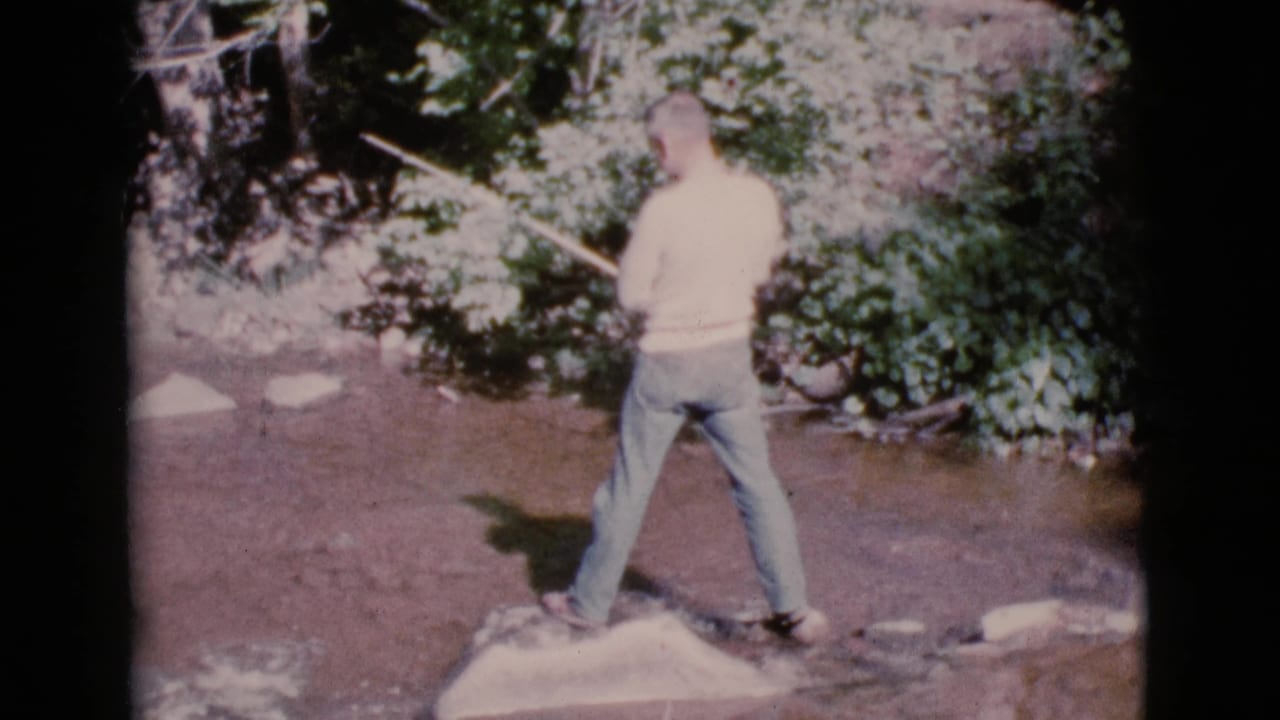 Man seen from behind fishing in a shallow stream bordered by foliage.