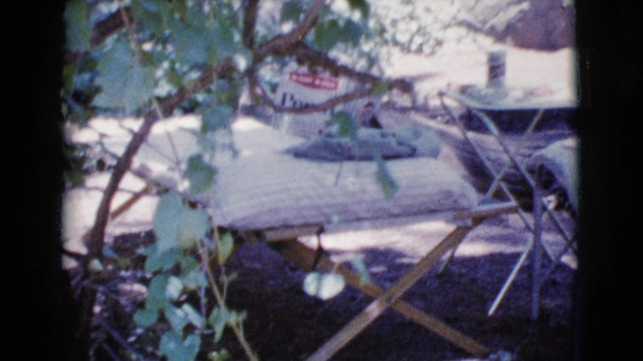 Camper trailer and folding camp furniture partly hidden by leaves.