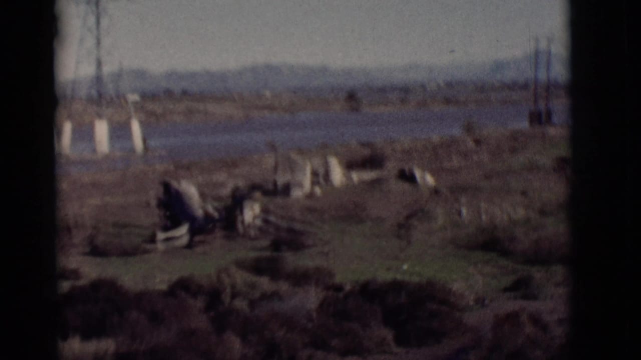 Muddy riverbank with transmission tower bases, scrub vegetation, debris, and distant hills.