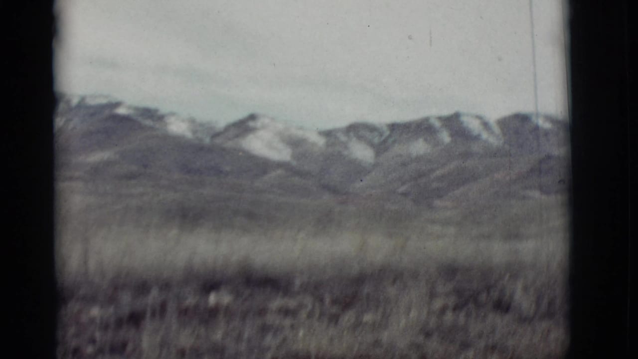 Snowy mountain ridgeline behind a blurred grassy foreground and pale sky.
