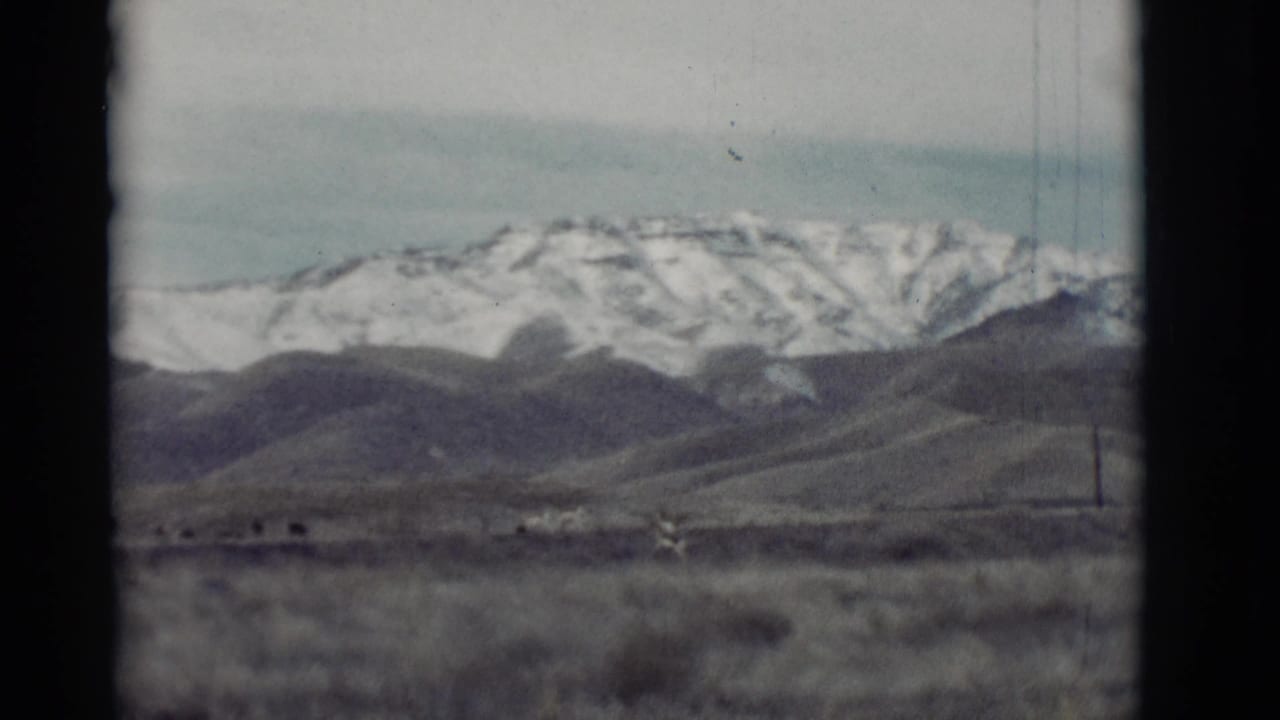 Small deer crosses a dry field below snowy mountains.