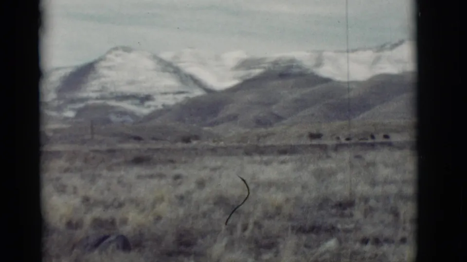 A final 1964 New Mexico frame holds on dry open ground, rounded hills, and snow-capped mountains with soft 8mm texture.