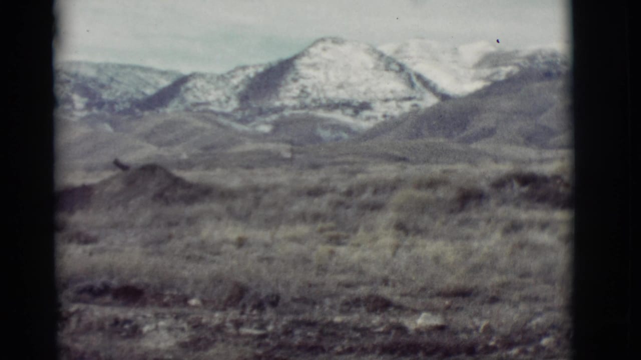 Distant snowy mountain ridge seen over open desert brush.