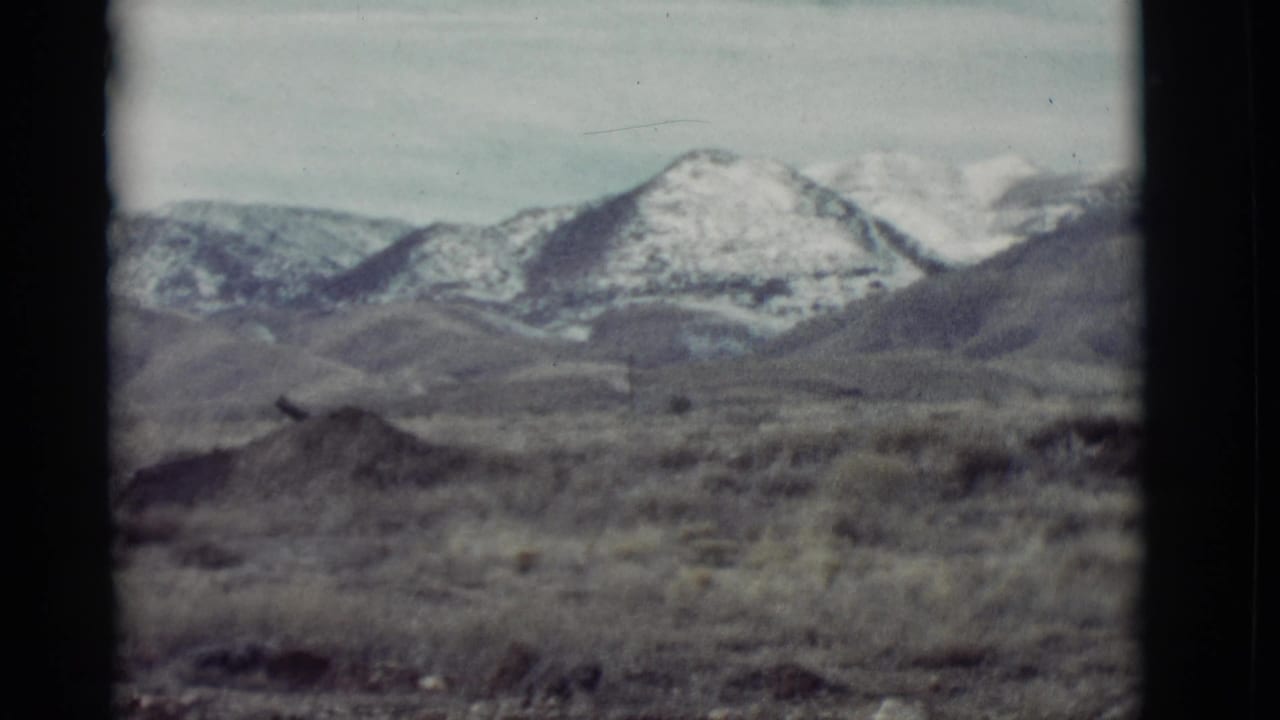 Desert scrub and low hills leading to snow-capped mountains under a pale sky.