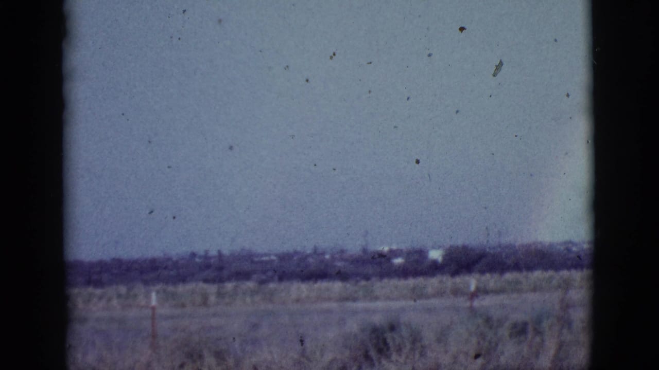 Open scrubland beneath a pale sky with a distant low horizon.