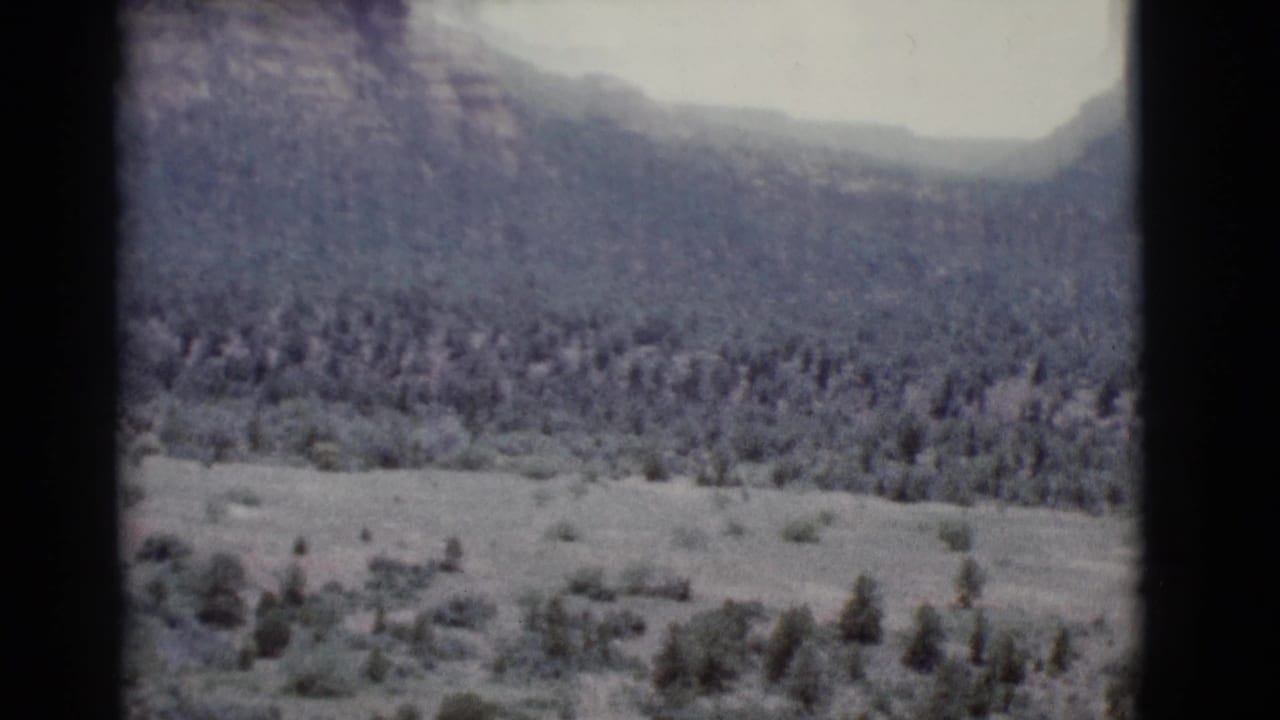 Valley floor with scattered trees and a dark mountain ridge in the distance.