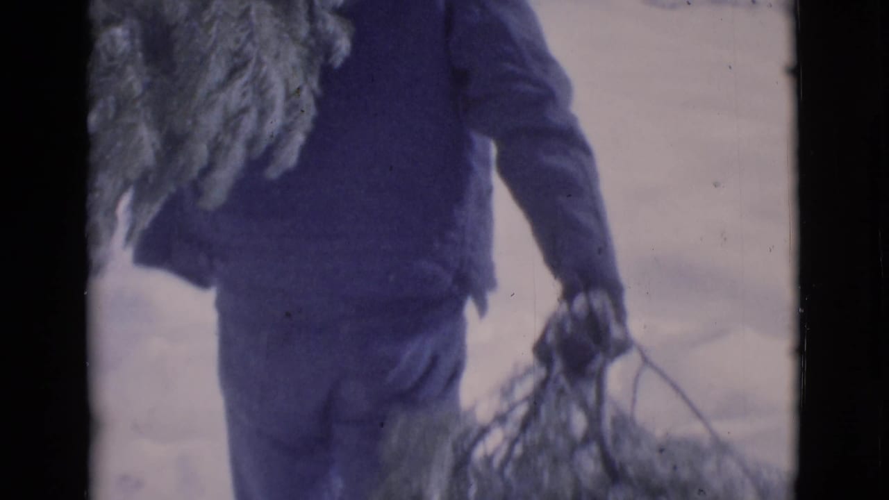 Man in dark winter clothing carries evergreen branches through snow.