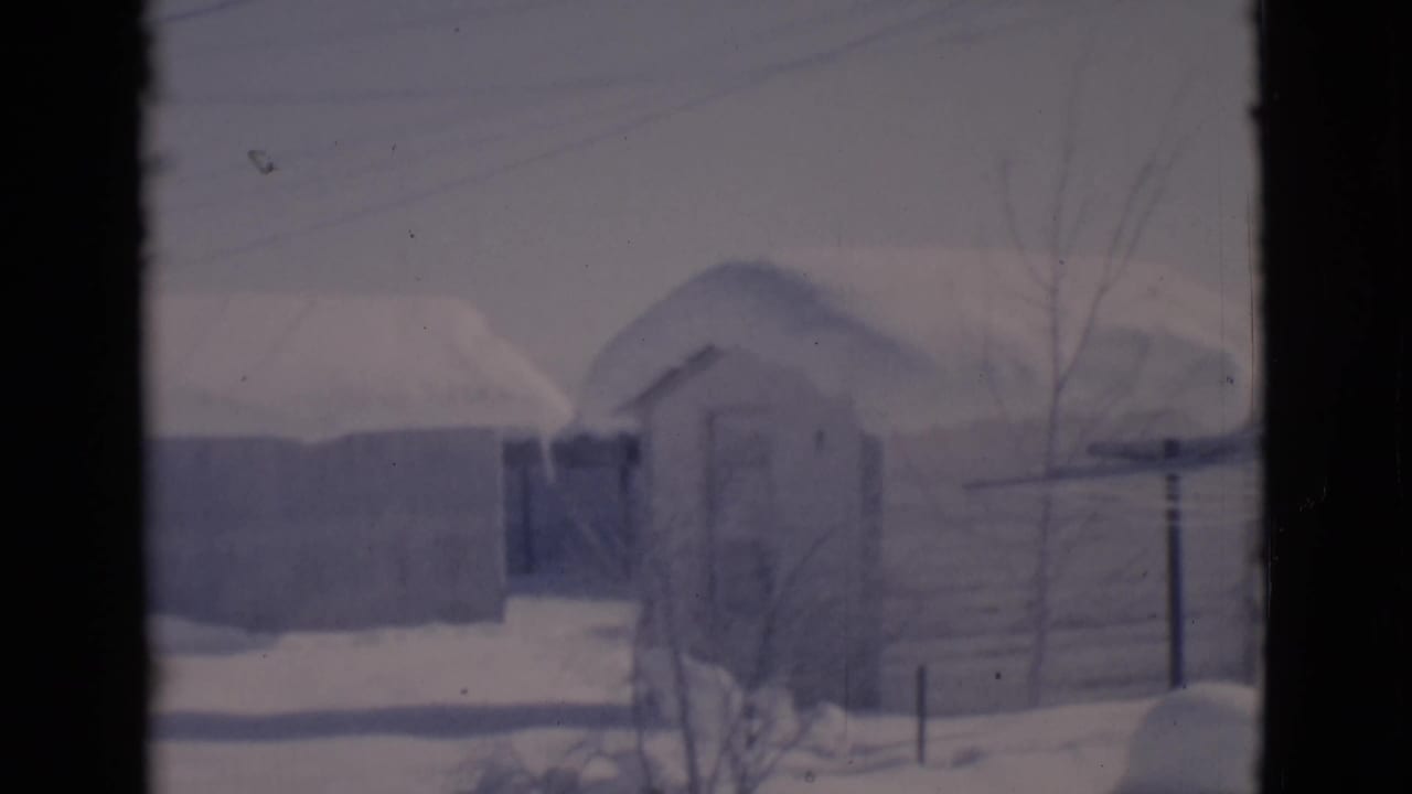 Snow-covered rural sheds and a small outbuilding seen through dark vertical framing.