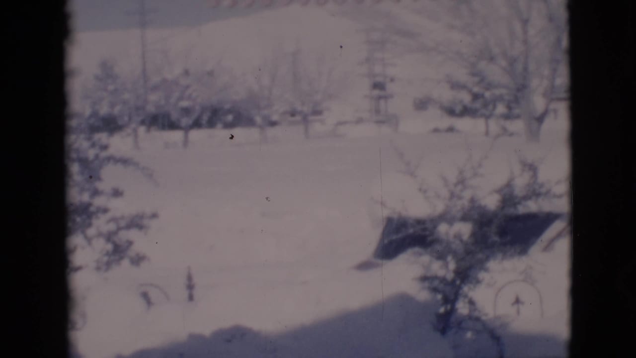 Snowy yard with bare trees, a house, and dark roofline visible beyond deep snow.