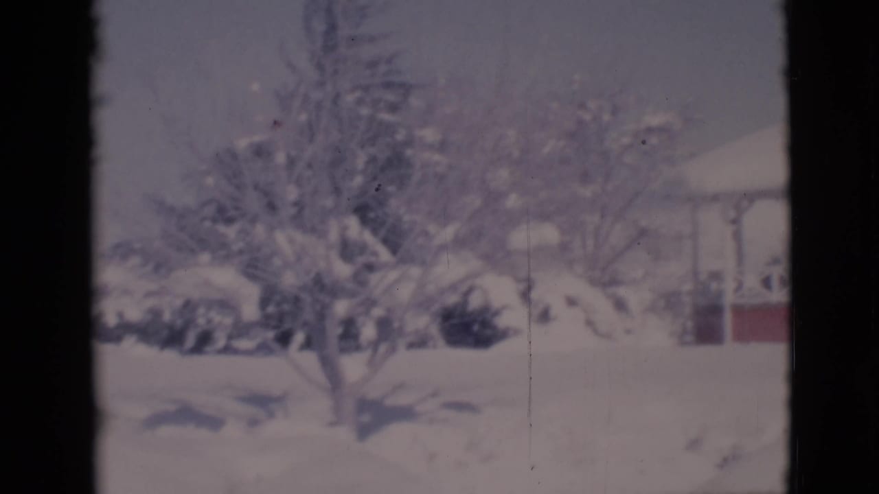 Snow-covered yard with bare tree, gazebo, and dark 8mm frame edges.
