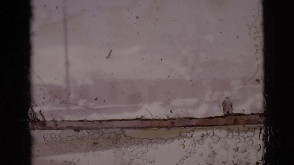 The final frame shifts toward an interior window surface, with a snowy Clarkdale exterior still faintly visible beyond the glass.
