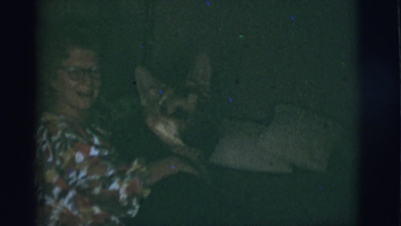 Woman seated on a sofa as a dog moves close beside her in a dim living room.