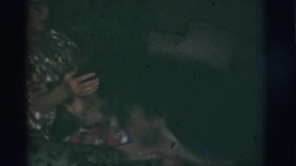 1966 Tuscon, Arizona home-movie frame showing the woman partly cropped as the dog moves lower near the sofa.