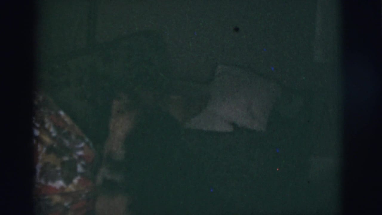 Older woman seated on a couch beside a dog in a dark room.