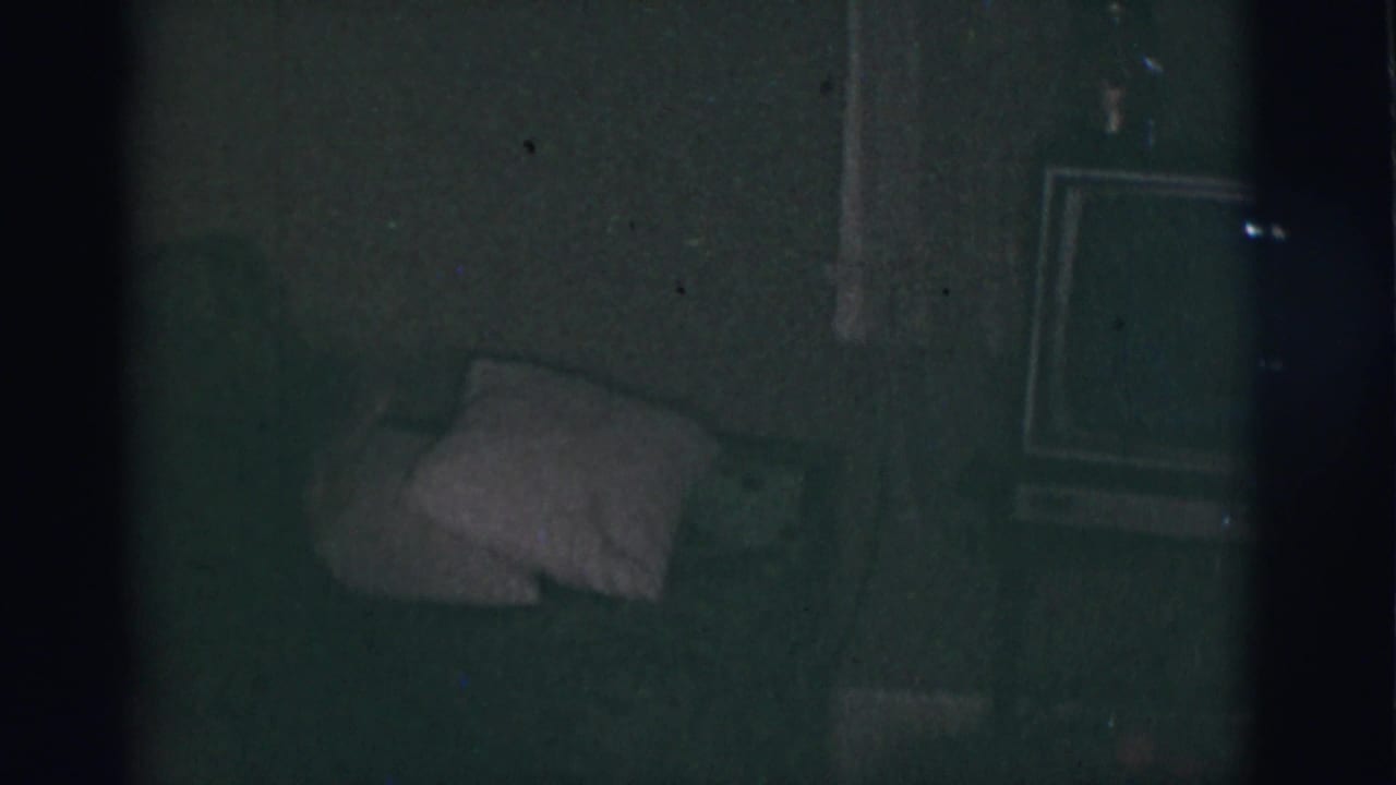 Dog lying on a couch with pillows and a television nearby.