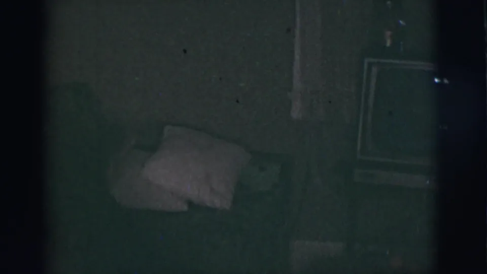 A dog rests on a couch in a dim private room, with pillows and a television visible at the side.
