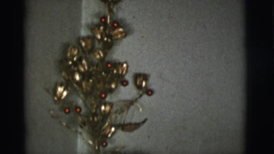 Final 1966 home-movie frame showing gold floral holiday decor with red berries below a white wall-mounted cone ornament.