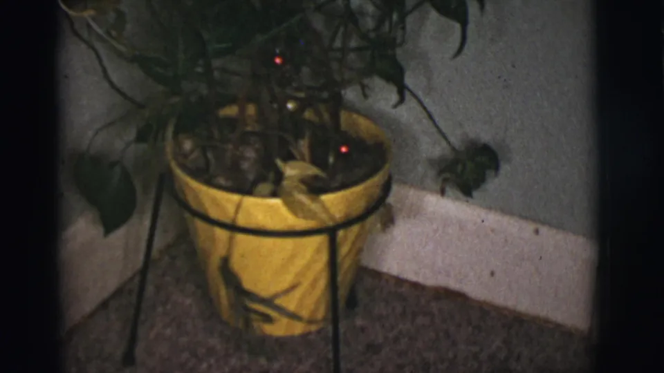 Lower view of the decorated potted plant, with yellow pot, dark stand, carpet, and red bulbs visible in the 1966 home-movie frame.