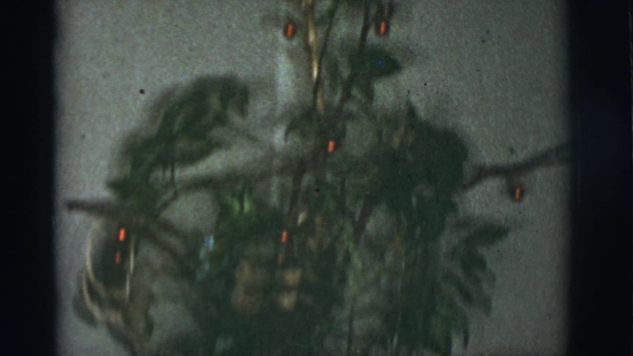 1966 Tucson home-movie frame showing a small green Christmas tree with red lights and soft 8mm focus.