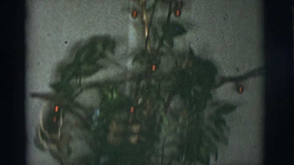 1966 Tucson home-movie frame showing a small green Christmas tree with red lights and soft 8mm focus.