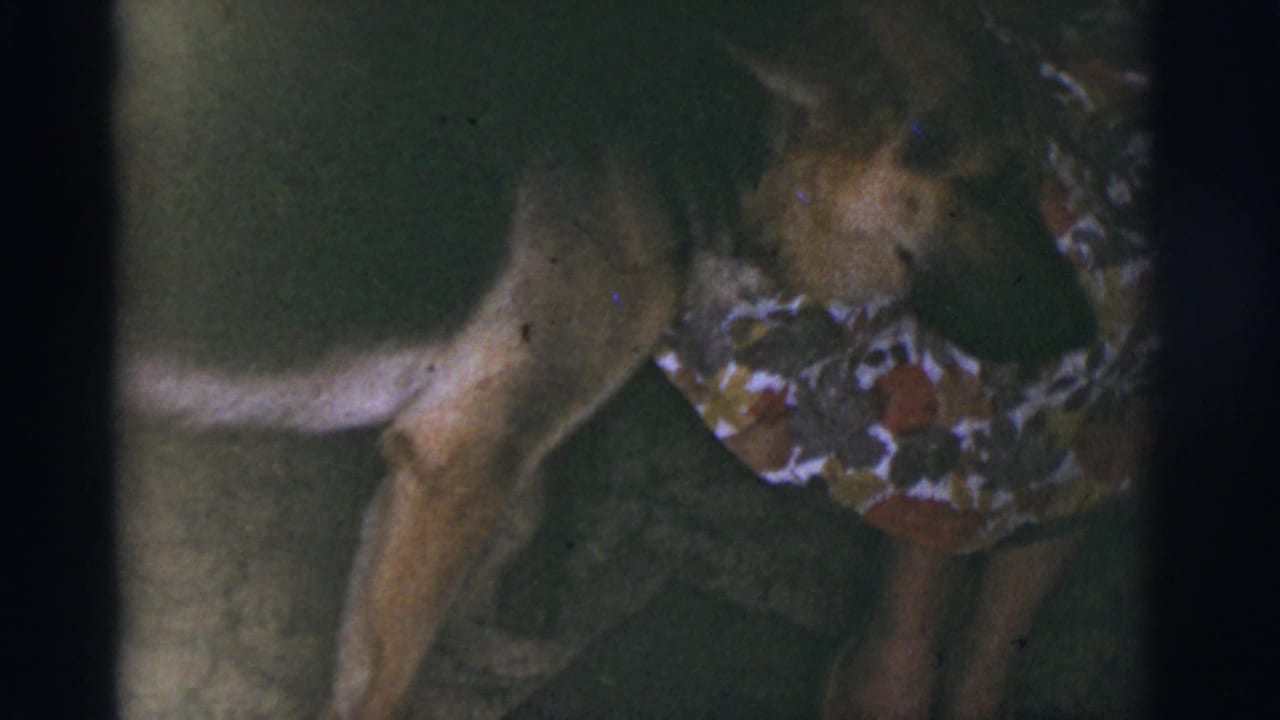 1966 Tucson home-movie frame with a person in a patterned dress bending toward a light-colored dog in dim indoor light.